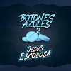 About Botones Azules 2 Song
