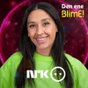 About BlimE! - Den Ene Song