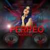 About Perreo Song