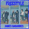 About Freestyle Song