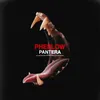About Pantera Song