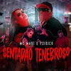About Sentadão Tenebroso Song