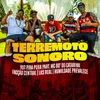 About Terremoto Sonoro Song