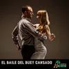 About El Baile del Buey Cansado Song