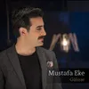 About Gülizar Song