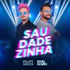 About Saudadezinha Song