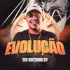 About Evolução Song