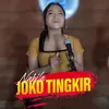 About Joko Tingkir Song