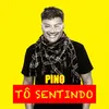 About Tô Sentindo Song