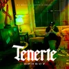 About Tenerte Song