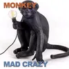 About Monkey Song