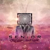 About Senior Song