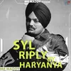 About Syl Riply By Haryanya Song