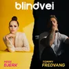 About BLINDVEI Song