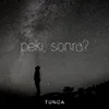 About Peki, Sonra? Song