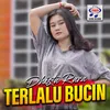 About Terlalu Bucin Song