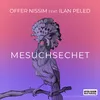 About Mesuchsechet Song