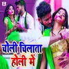 About Choli Chilata Holi Me Song