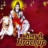 About Bhola Se Brackup Song