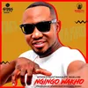 About Ngingo Wakho Song