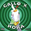 About Gallo X hora Song