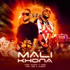 About Mali Khona Song