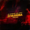 About Ziyashuba (Emhlabeni) Song