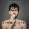 About Fragili Parole Song