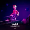 About Hologram Song