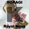 About Royal Nova Song