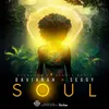 About Soul Song