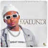 About Malundi Song