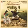 About Nenjorama Thalaattuthey Song