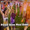 About Patale Bane Maal Babu Song
