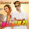 About Aloha Pardner (As Featured In "Magnum P.I. ") Song