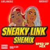Sneaky Link Shemix