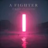 About A Fighter Song