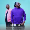 About Tsokotsa Song