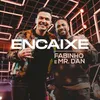 About Encaixe Song