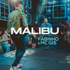 About Malibu Song