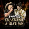 About Enséñame a Olvidar Song