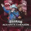 About Aguanta Corazón Song