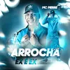 About Arrocha Ex é Ex Song