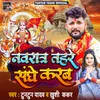 About Navratr Tahre Sanghe Karb Song