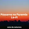 Pássaros na Fazenda Lo-Fi