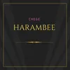 About Harambee Song