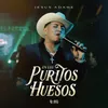 About En Los Puritos Huesos Song