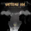 About Vattene via Song