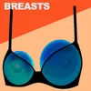About Breasts Song
