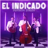 About El Indicado Song